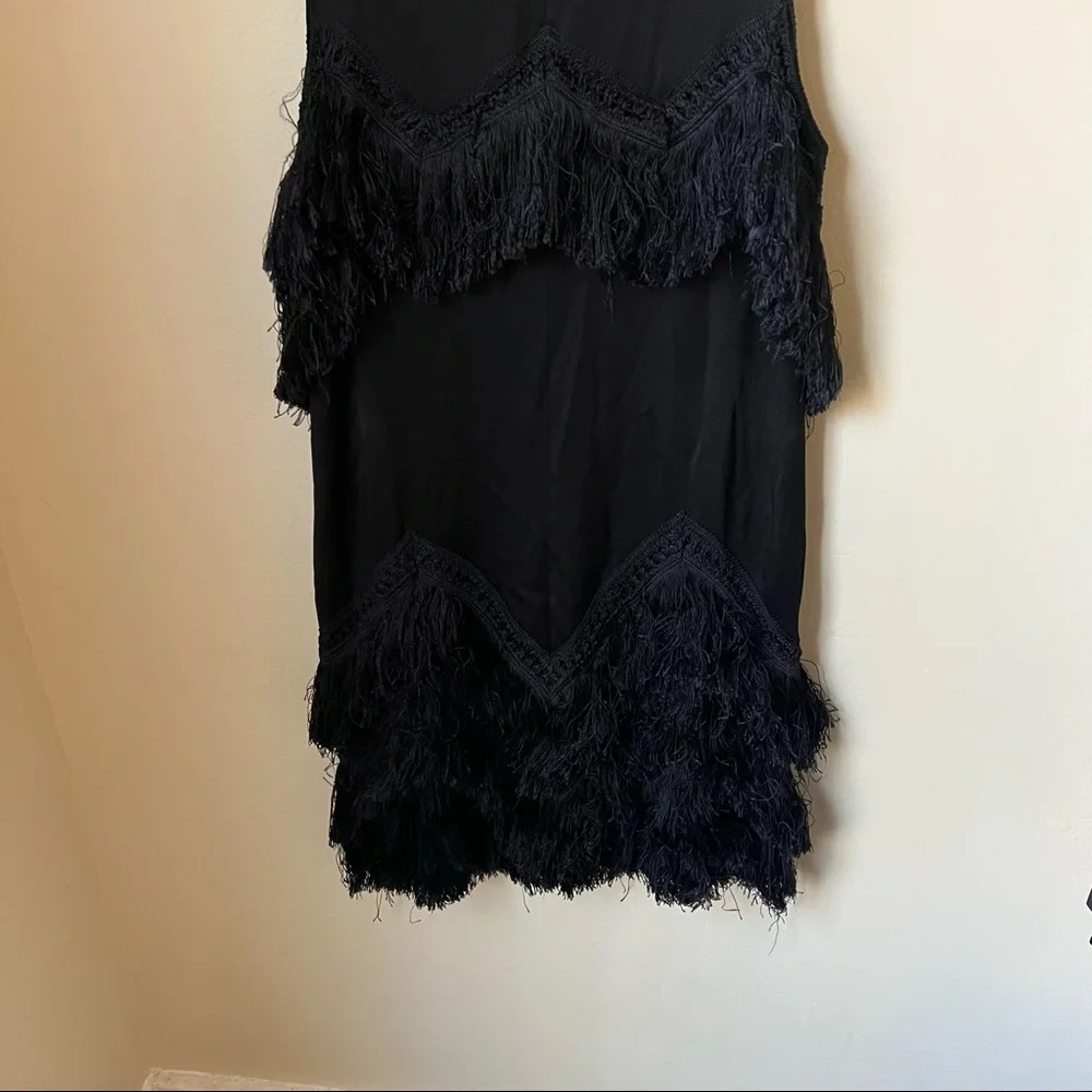 Theory Flapper Fringe Dress, size 6 - Picture 5 of 10